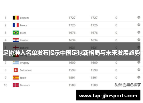 足协准入名单发布揭示中国足球新格局与未来发展趋势