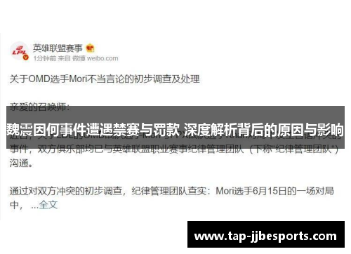 魏震因何事件遭遇禁赛与罚款 深度解析背后的原因与影响