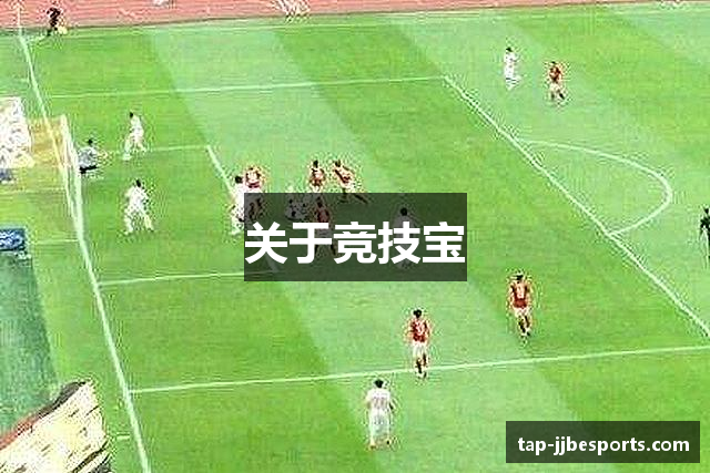 关于竞技宝